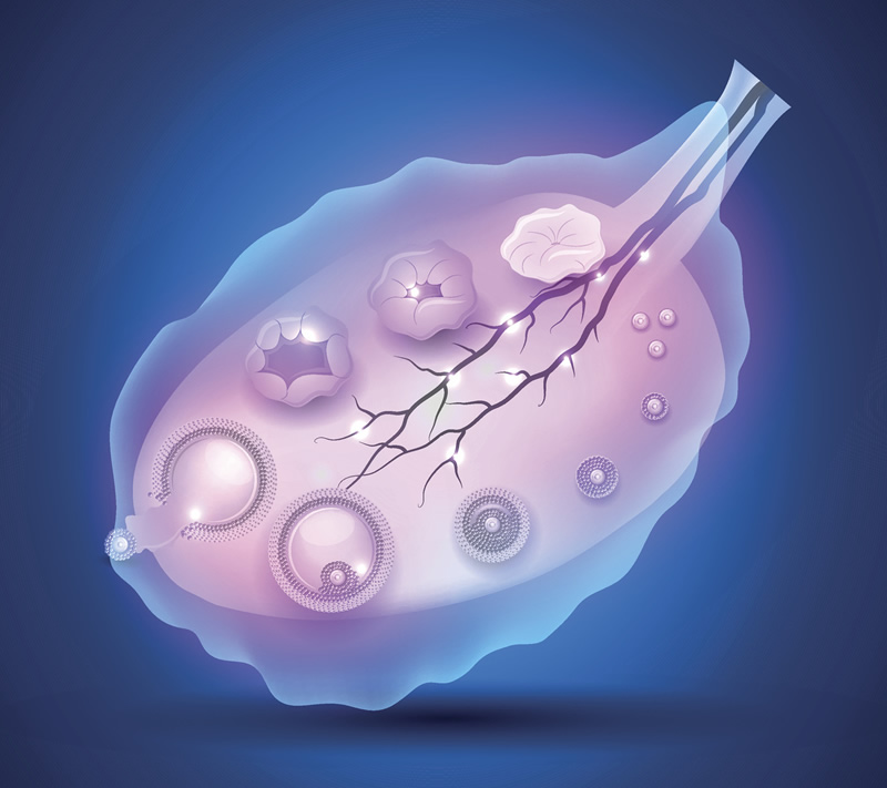 做三代试管婴儿的标准有哪些三代试管婴儿有什么要求